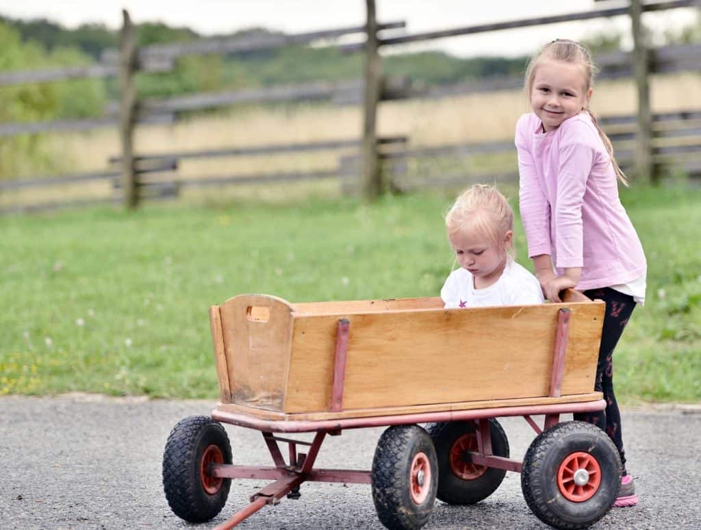 Kids Wagon With Canopy